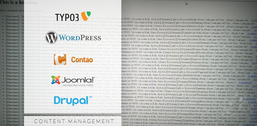 Content Management / CMS- Die Top 5 von WordPress zu Typo3 und Cantao
