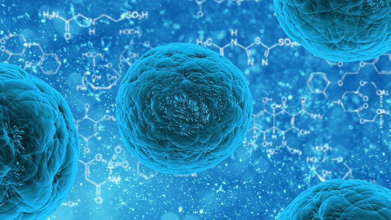 Youtube demonetarisiet Coronavirus (Covid-19) Videos: Geld verdienen mit Angst in der Kritik