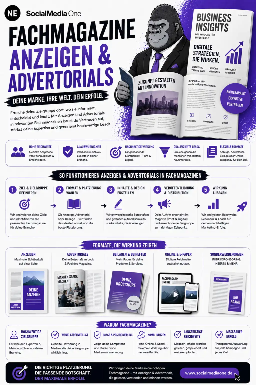 Infografik zu Marketingstrategien: Social Media, Reichweite, Zielgruppe, Content und Werbung im Überblick.