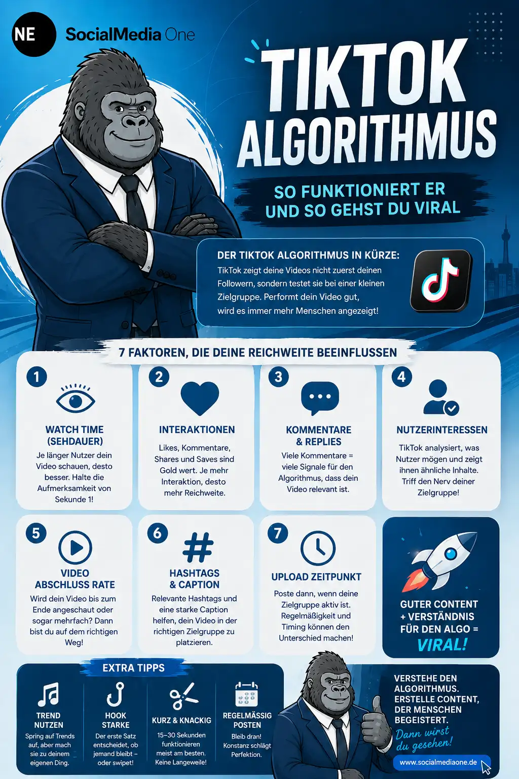 tiktok marketing infografik tiktok marketing reichweite algorithmus video content erfolg publikum statistik