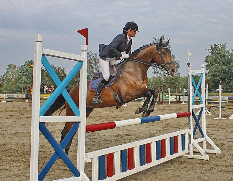 Pferde im Marketing: Reitsport, Equestrian Brands und Pferde als Markensymbol