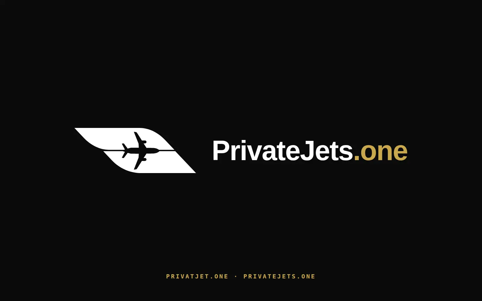 PrivatJet.one — Branding & Websites für ein Privatjet-Charter-Portal, Kampagnenmotiv